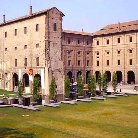 Violet - * Parma
