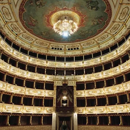 Violet - Daire Parma