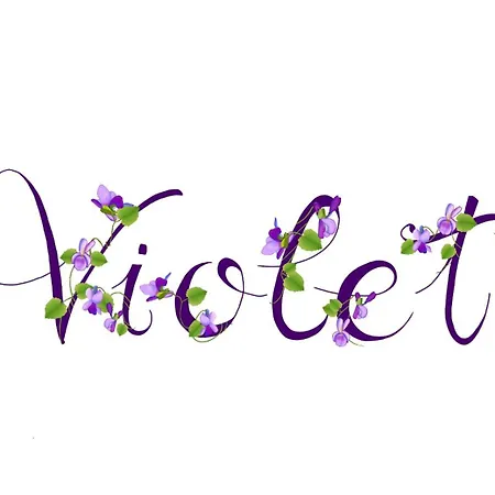 Apartment Violet - Parma